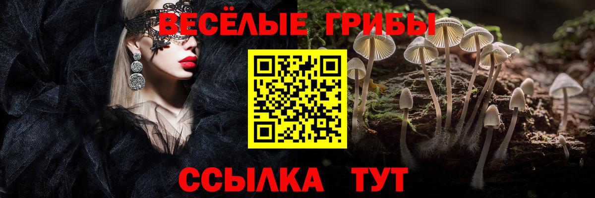 Чистополь  Псилоцибиновые грибы ЛСД  Вход с VPN 